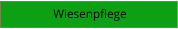 Wiesenpflege